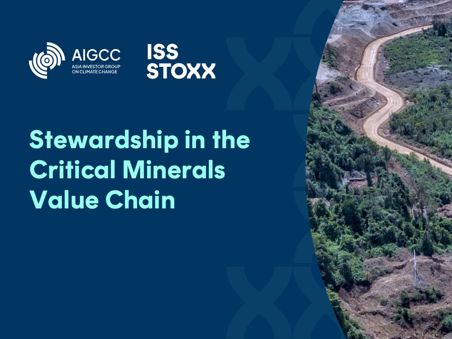 Stewardship in the critical minerals value chain