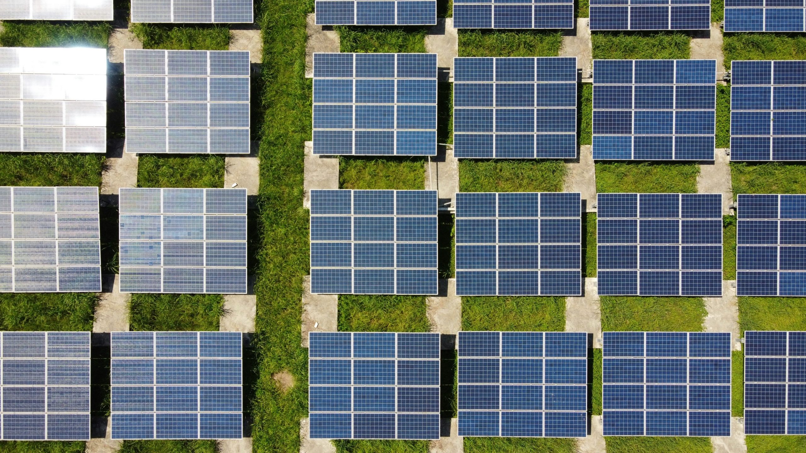 Renewable Energy Disclosure and Underlying Energy Use 