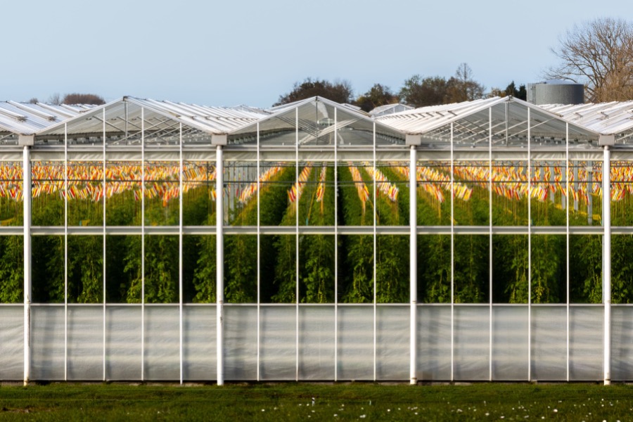 GHG Reduction Targets: Adoption Trends and Market Differences