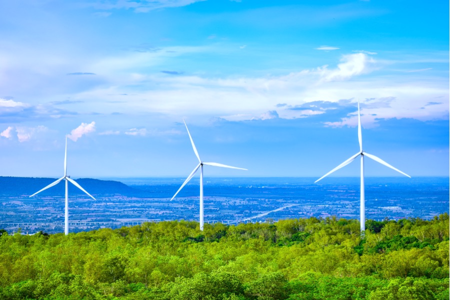 How to Build a Credible Carbon Accounting Program in 2026 