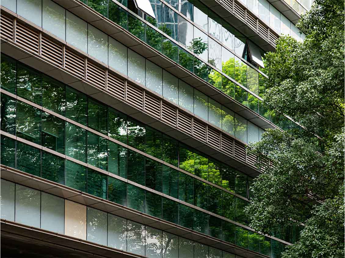 Building with green windows and a big tree beside it.