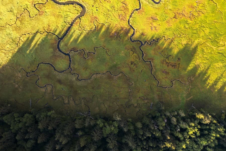 ISS STOXX’s Quarterly Engagement Update – Q2 2026: Life on Land, Gender Equality, and Clean Water Emerge as the Most Engaged SDG Themes