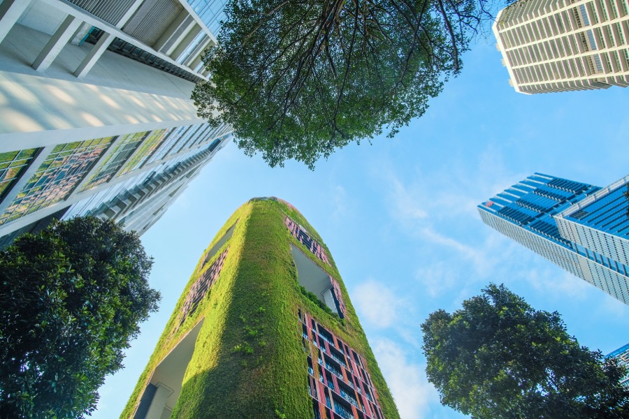 What the “Empowering Consumers for the Green Transition Directive” Means for Environmental Claims