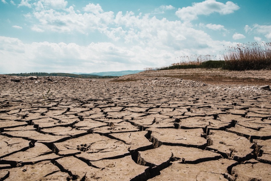 Why Water Stress Disclosure Matters for Corporate Risk Management